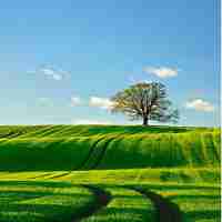 css做‍框‍架​